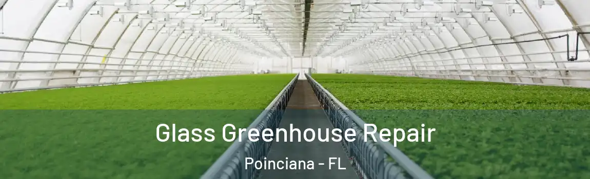  Glass Greenhouse Repair Poinciana - FL