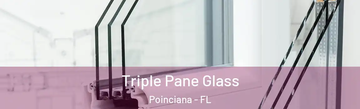  Triple Pane Glass Poinciana - FL